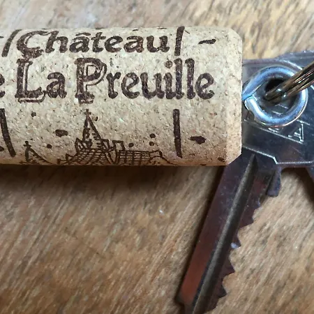 Chateau De La Preuille 度假居 蒙泰居