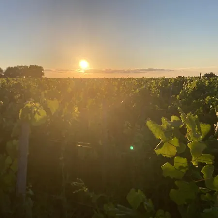 Chateau De La Preuille Montaigu-Vendee