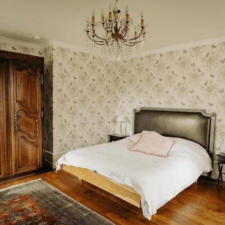 Chateau De La Preuille * Montaigu-Vendee