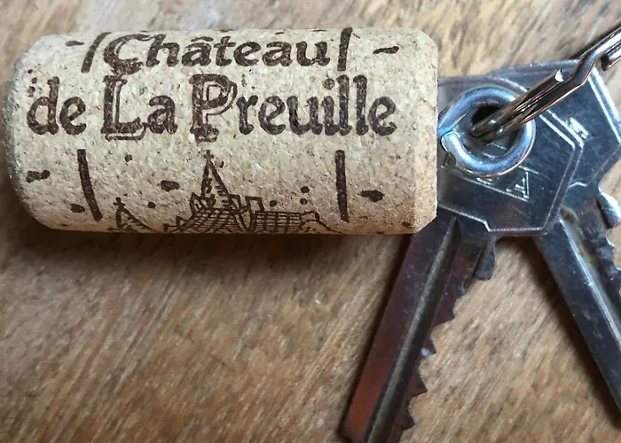 Chateau De La Preuille Dom wakacyjny Montaigu-Vendee