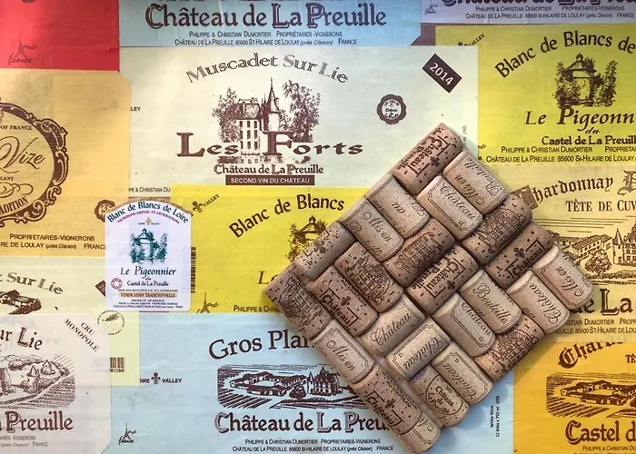 Dom wakacyjny Chateau De La Preuille Montaigu-Vendee