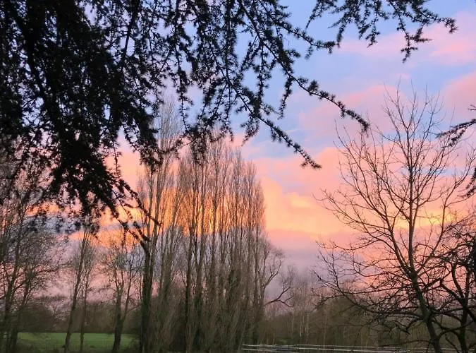 Dom wakacyjny Chateau De La Preuille *