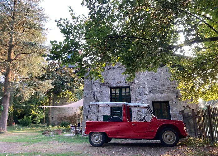 Chateau De La Preuille * Montaigu-Vendee