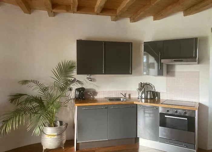 Chateau De La Preuille Dom wakacyjny Montaigu-Vendee