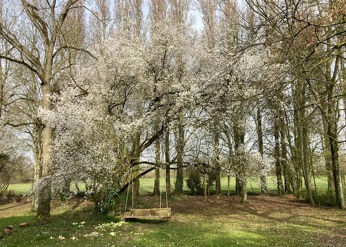 Dom wakacyjny Chateau De La Preuille *