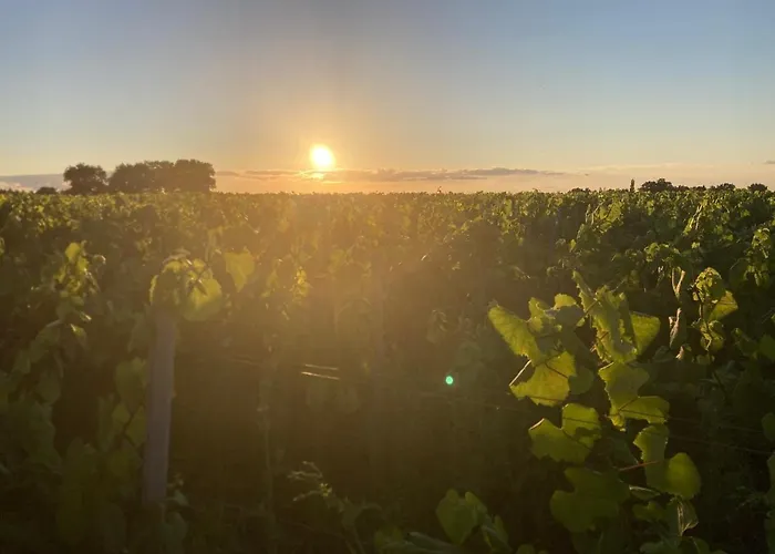 Chateau De La Preuille Montaigu-Vendee