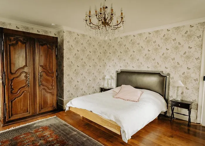 Chateau De La Preuille * Montaigu-Vendee